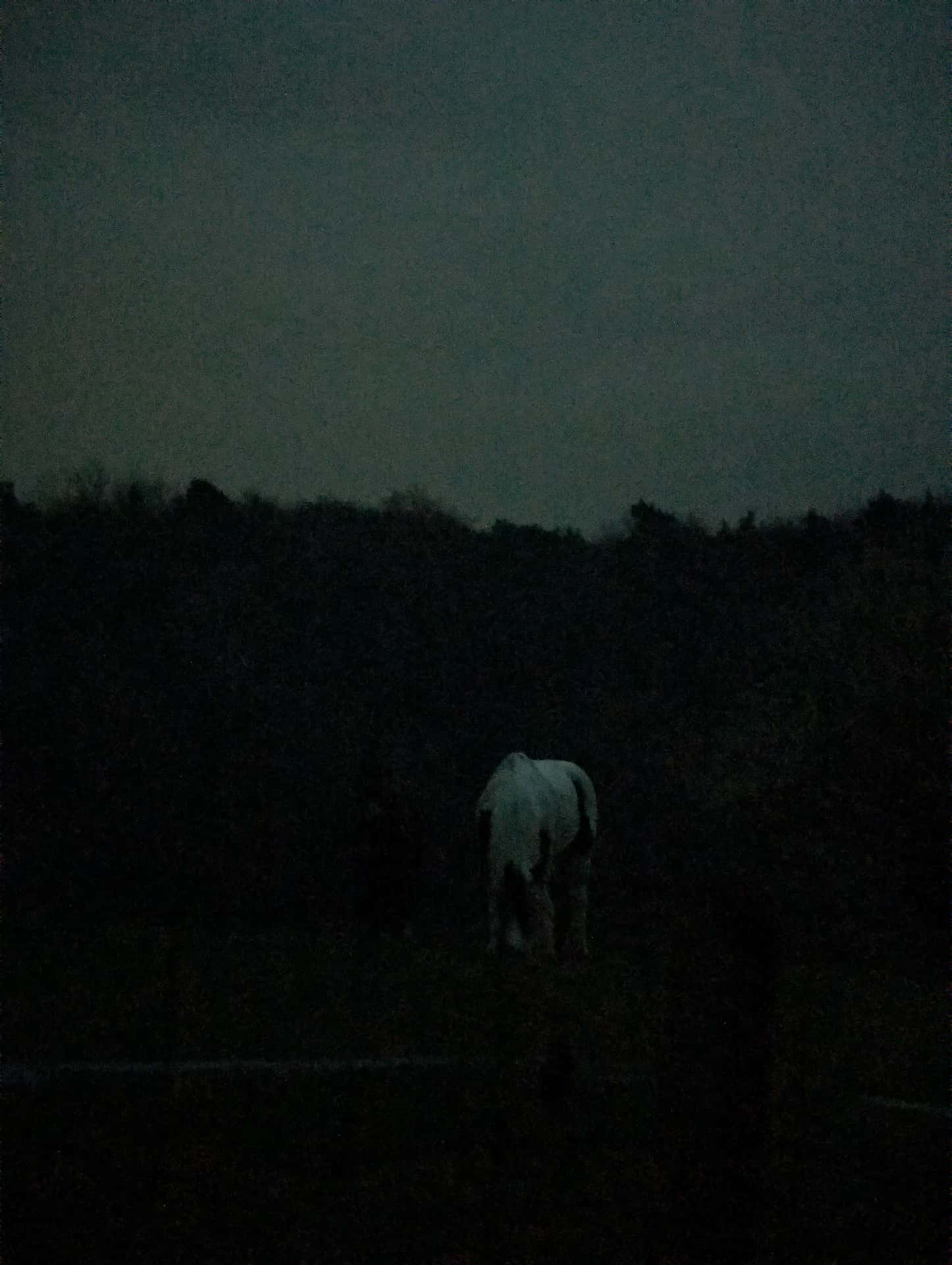 Glowing in the dark 
