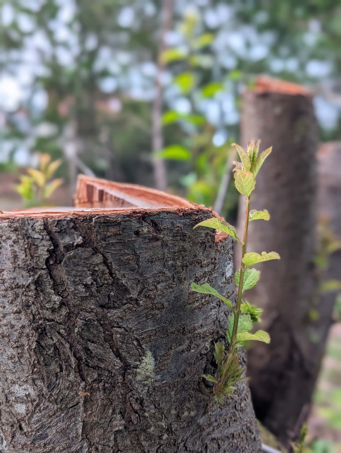 ?Hope