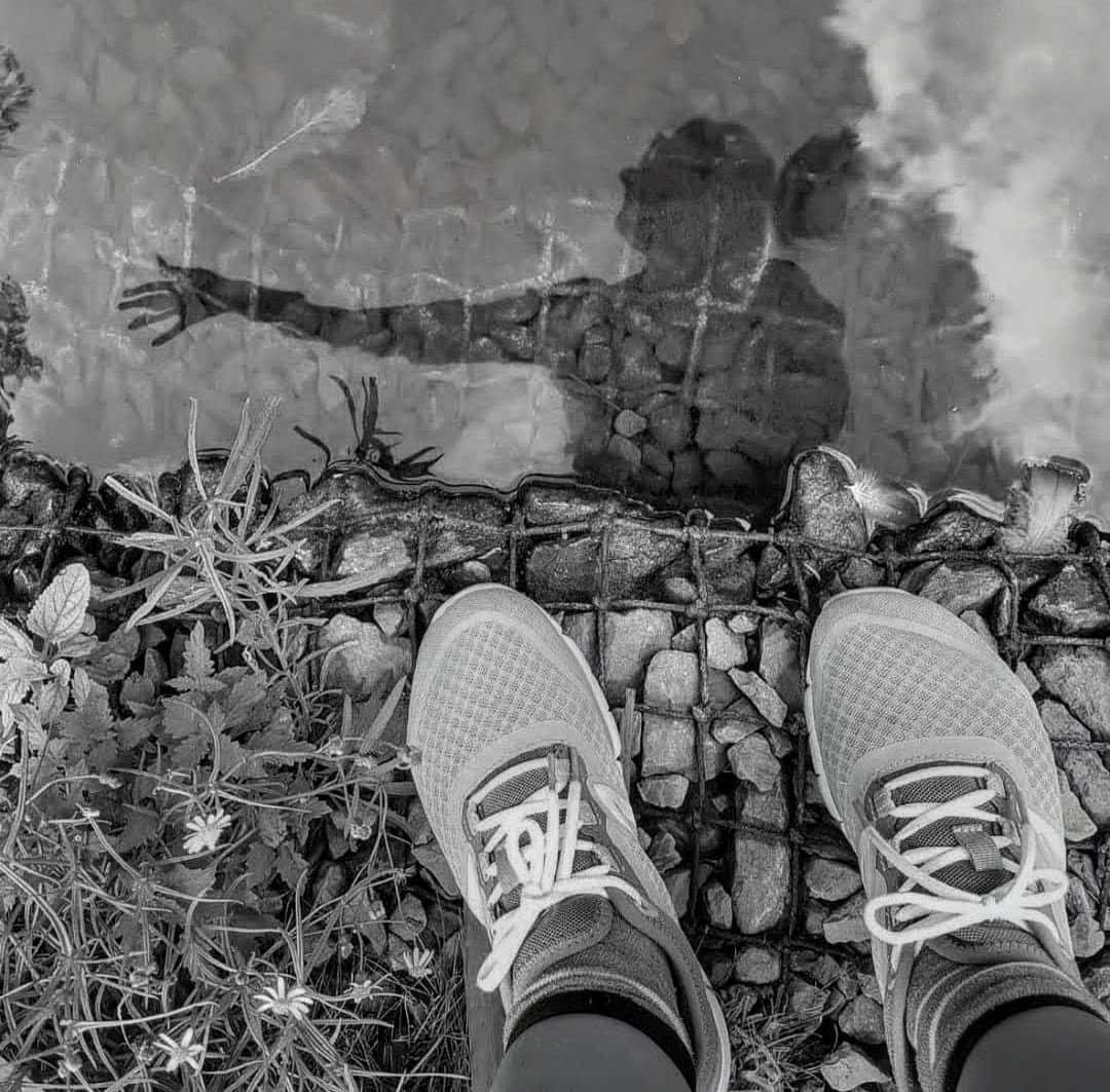سایه‌ی تمنا