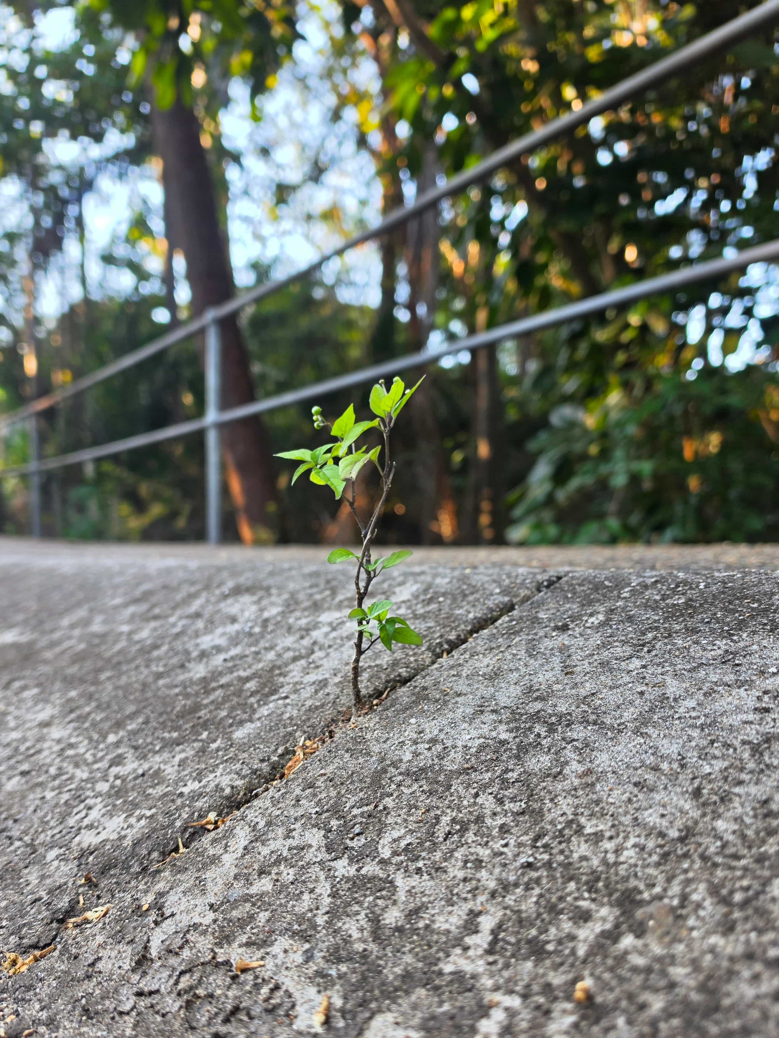 Influence of Nature