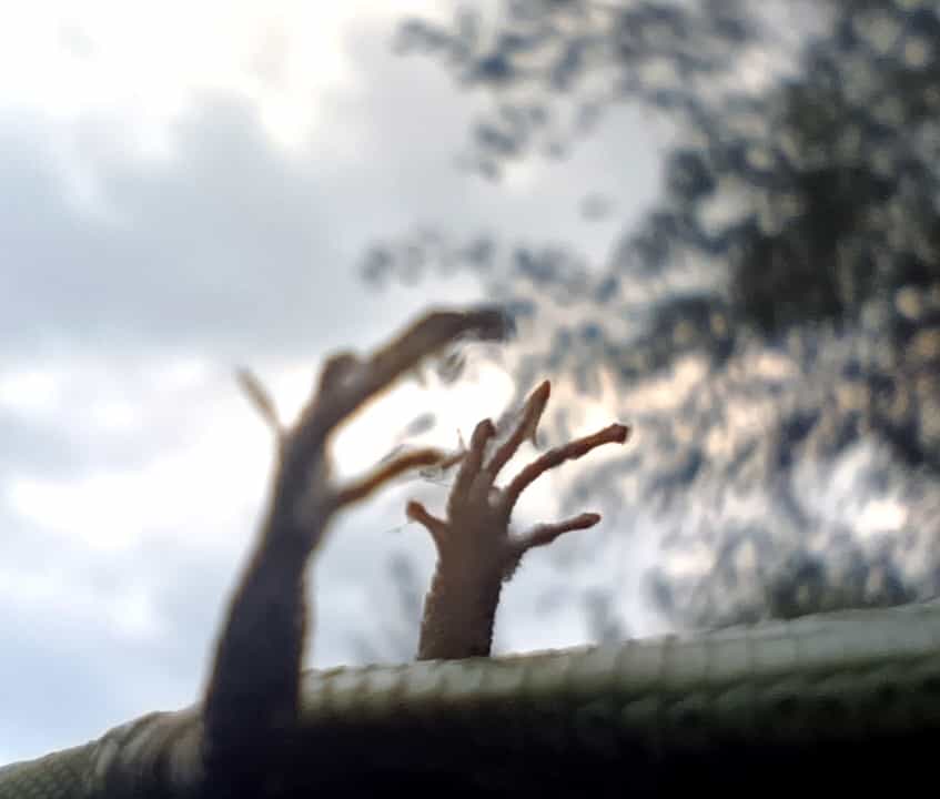 بیگانه — Photography by Mehdi Qbic