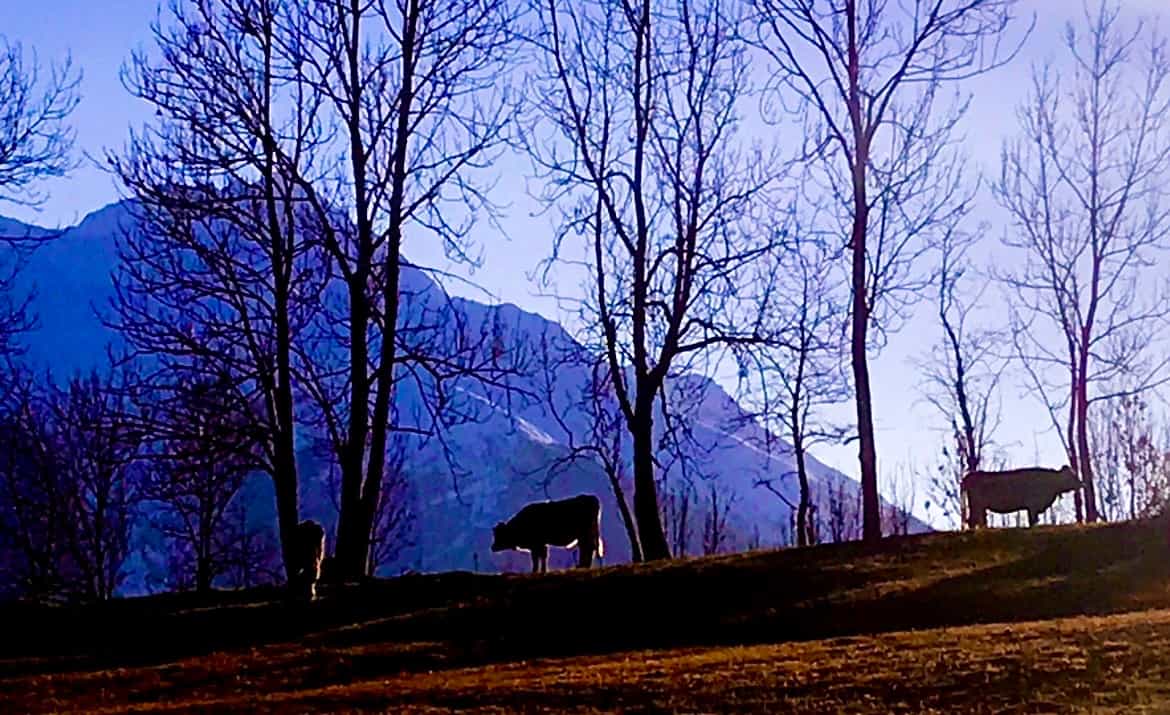 کدورت — Photography by بابک پیوند