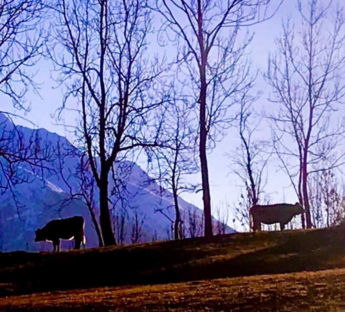 کدورت — Photography by بابک پیوند