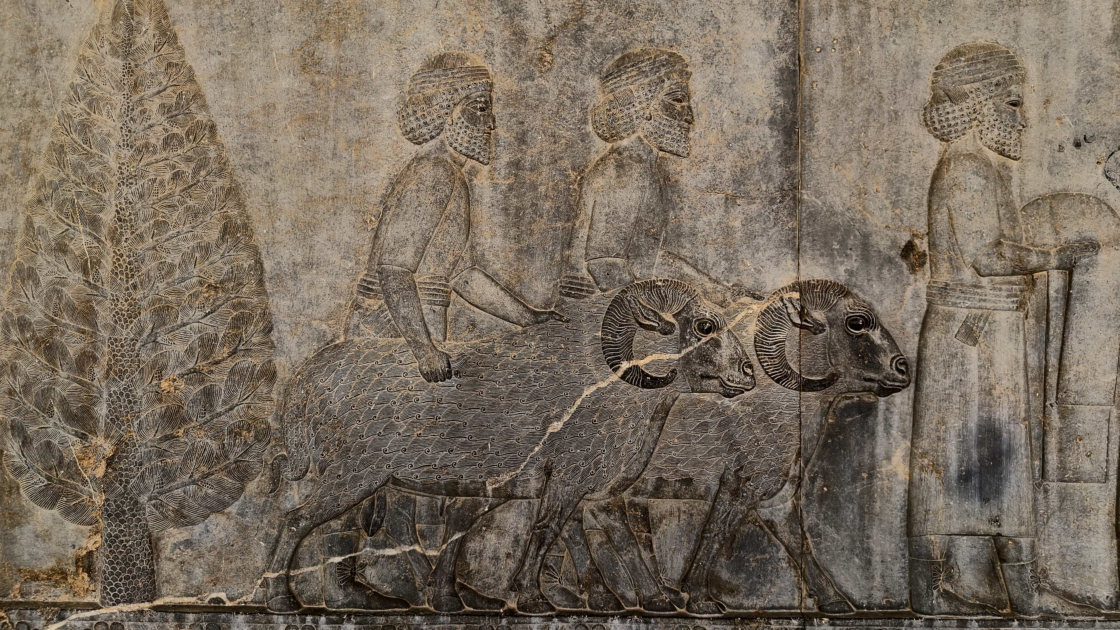 persepolis — Photography by pouyan kamgar