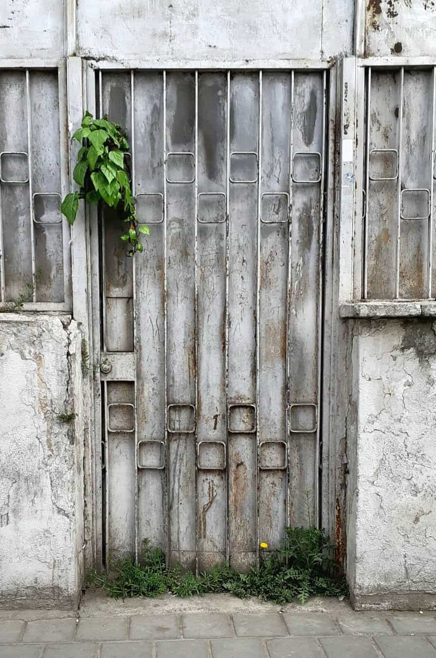 آمدم؛ نبودی. — Photography by شیرین ورچه
