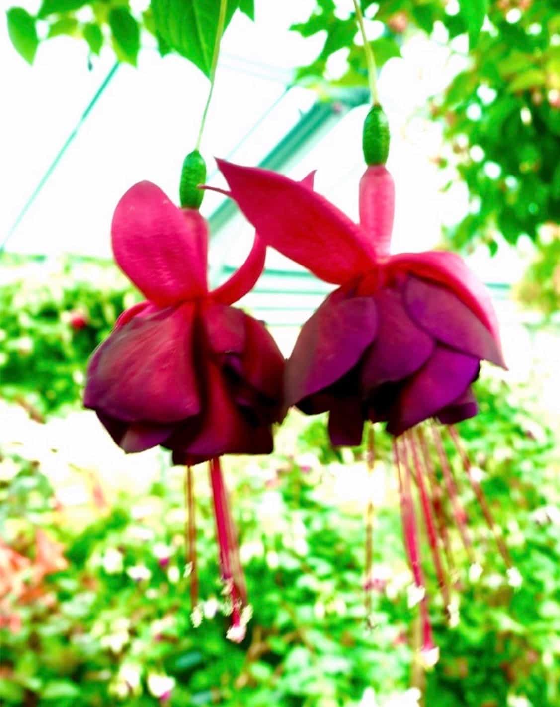 آشتی — Photography by بابک پیوند