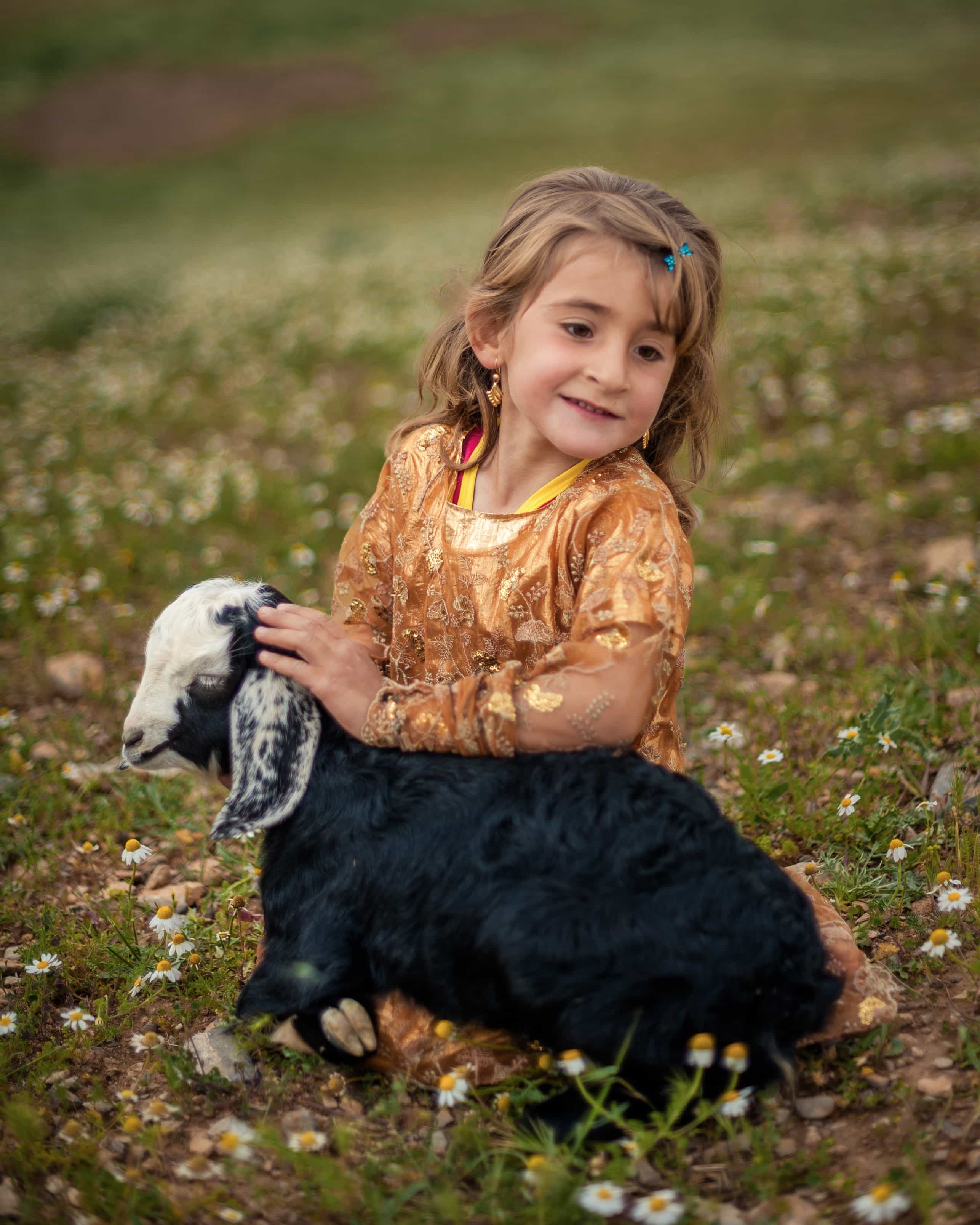 رفیق — Photography by محسن رشیدی