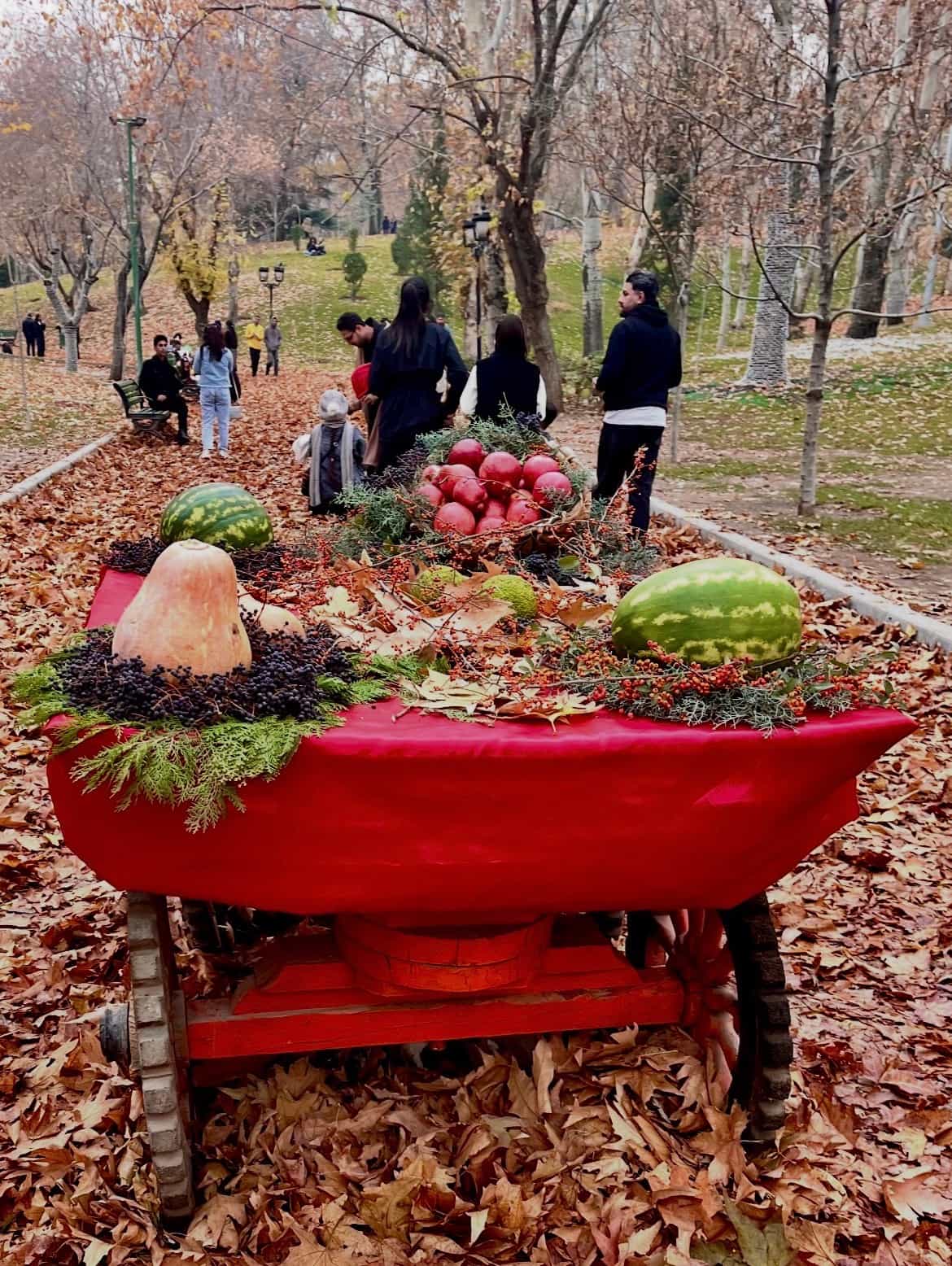 در میان پاییز  — Photography by بابک پیوند